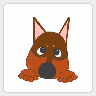 miniature pinscher chocolate and rust peeking cartoon Sticker